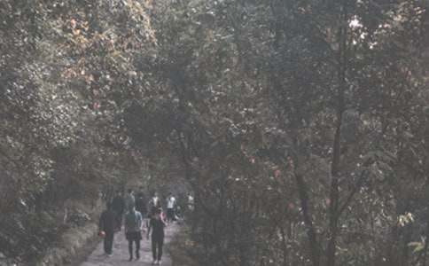 ���Ƽ�����ɽСѧ���Ļ��5ƪ