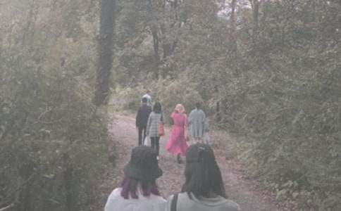 【精华】登山小学作文合集10篇