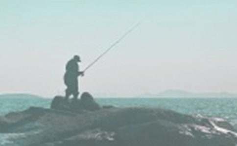 ���������ʾ����ѧ��˼