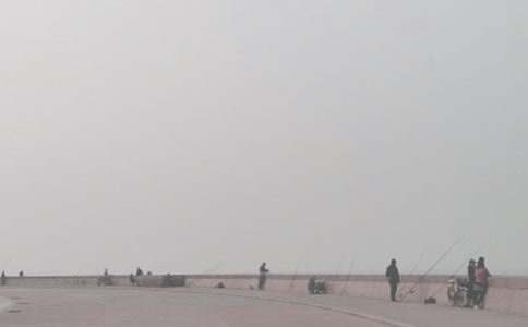 Сè����Сѧ����(15ƪ)