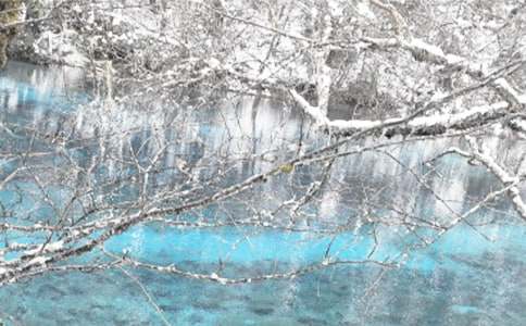 ���϶����ʺ���