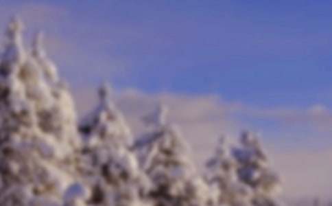 ����ĸ���