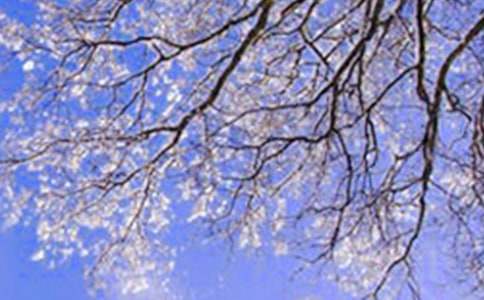 ���ϵĶ���˵�θ���ƪ