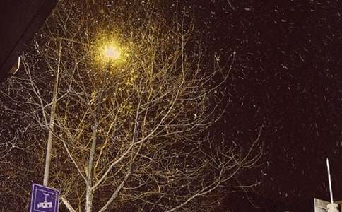 ����΢���ʺ���