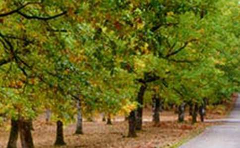 ��ɽ�羰���ĵ��δʣ�ͨ��21ƪ��