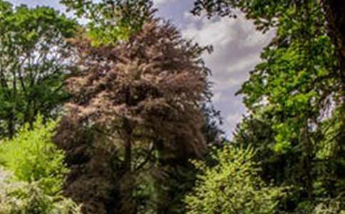 �����������з羰���ļ��ϰ�ƪ