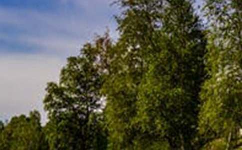 �йظ��з羰���ļ���6ƪ