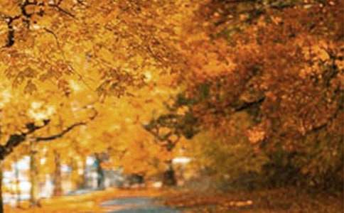 ���������羰�������ļ���ʮƪ