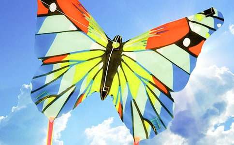 ���꼶�ϲᡶ���ݡ�˵�θ�