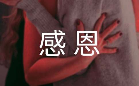 高中生关于感恩的作文