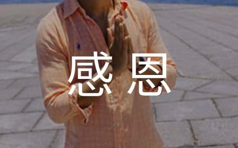 感恩活动总结(通用22篇)