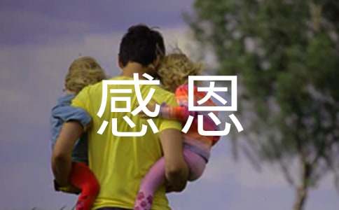 �ж���ĸ���ʵ������