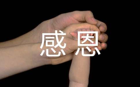 感恩主题班会活动总结集锦15篇