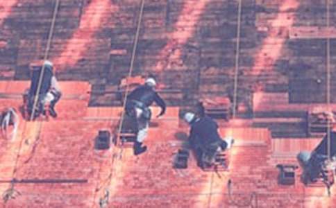 �������ع��̺�ͬ(����15ƪ)