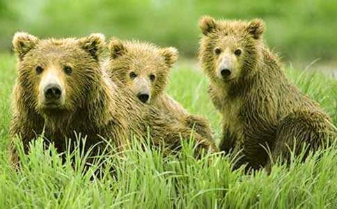 ���������ֻ�����̰ܽ�