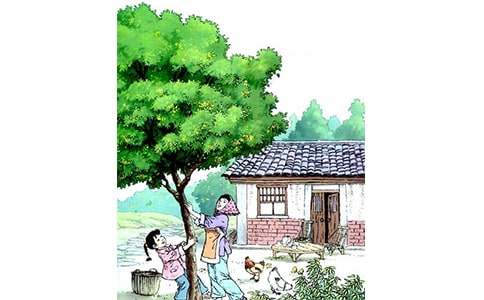 �����ѧ��˼