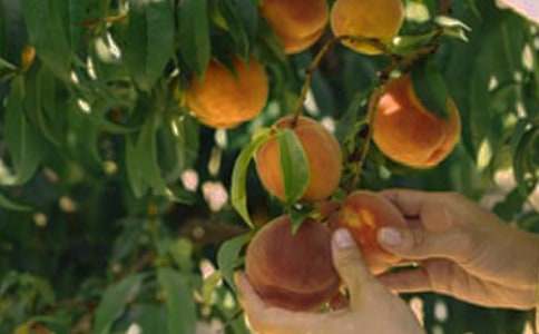 ��԰ת�ú�ͬ[��ѡ]