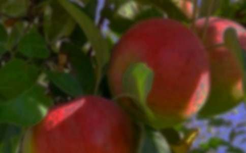 ��԰��Ӫ�����а���ͬ