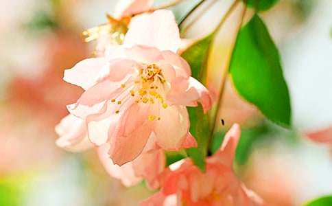 �����㺣�ġ��ۺ��(����15ƪ)