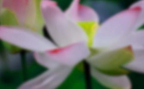 ���ںɻ��̰��ϼ�7ƪ