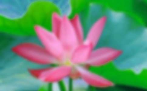 ������д�ɻ������ĺϼ���ƪ