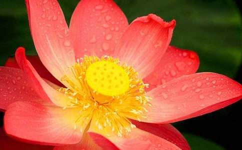 �ɻ���ѧ��˼