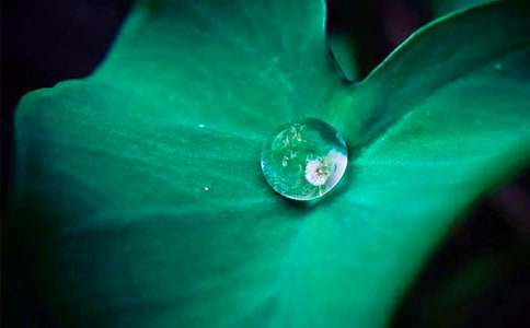 ��ѡ��ҶԲԲ�̰���ƪ