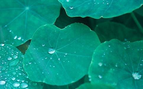 ����ҶԲԲ����ѧ��˼���ģ���ѡ5ƪ��