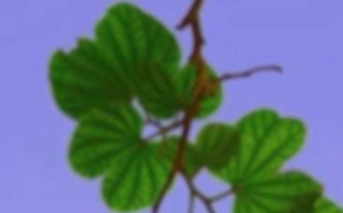 ������г���ӹ�ϵ�ĵ����