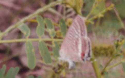 �а�̰�����ëë��������