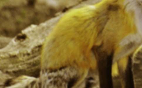 �˲���ĺ���ְֶ���У���ѡ36ƪ��