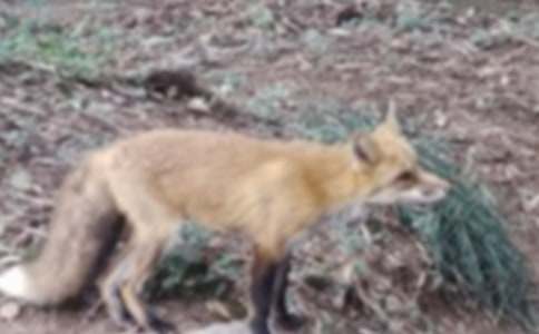 �����˲���ĺ���ְ֡��и�15ƪ