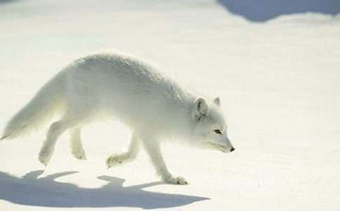 ���ڡ��������ѻ���̰���ƪ