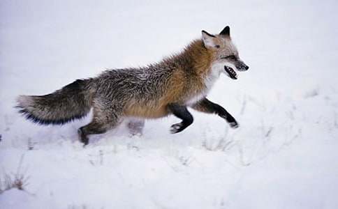 �˲���ĺ���ְֶ����