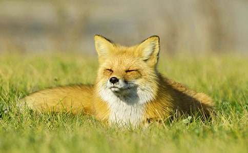 ����ѡ�����������ѻ���̰���ƪ