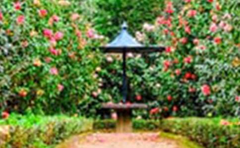 ���˵Ļ�԰˵�θ巶�Ļ�����ƪ