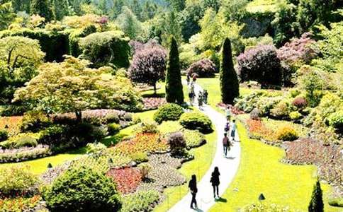 �����˵Ļ�԰������м���15ƪ