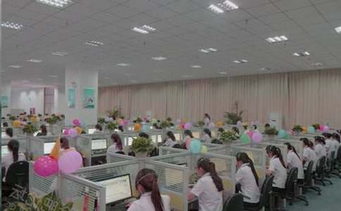 ����Ա�����ƻ�������15ƪ��