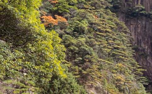 ���ջ�ɽ���δ�(����15ƪ)