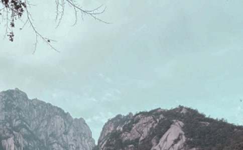 《黄山奇松》教学设计