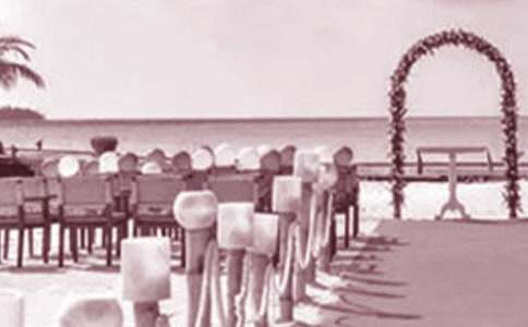 [��]֤���˻����´�15ƪ