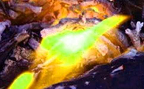 Сѧ���������ַ��ع����ܽ�