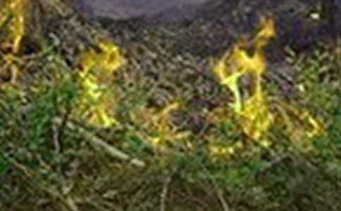 ��ҵ���ַ��ع�������