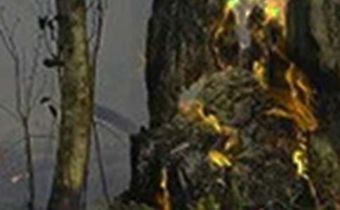 ���ְ��ľ�����������(7ƪ)