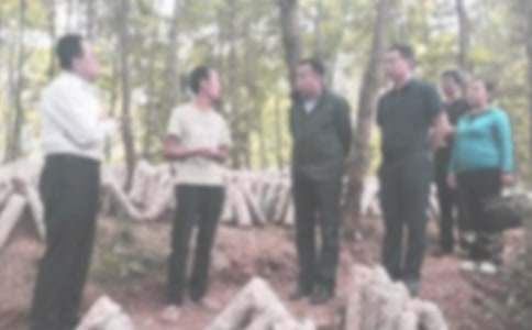 优秀学生纪律违纪检讨书