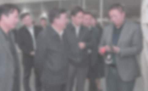 �ŷüͼ칤���ܽ� (��ѡ12ƪ)