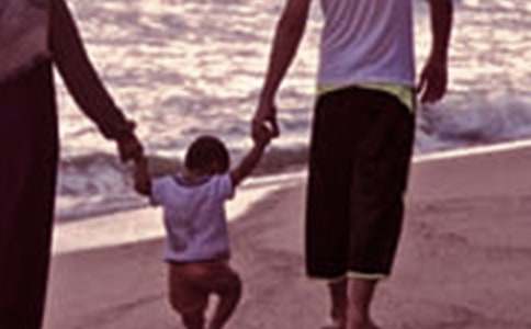 �׶�԰��ͥ���������ƻ�15ƪ