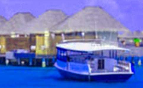 �������������ʵ������