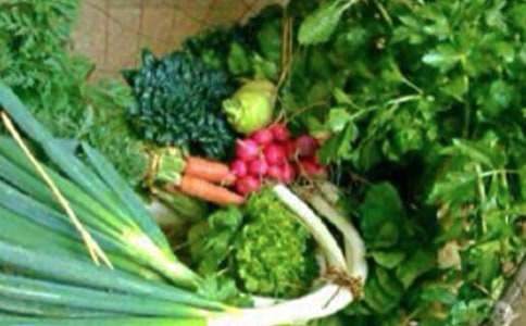 心理健康教案(通用)