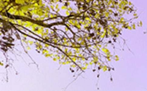 Сѧд��ɫ�����Ļ�ࡾ3ƪ��